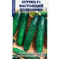Семена Огурец Настоящий полковник F1 /Сотка/ 0,15г / партен. раннесп. 12-15см/*1500