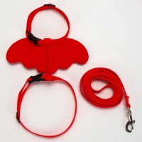 Комплект амуниции "Ангел", размер XS, шлейка 19-26 см, поводок 120 х 1 см, красный