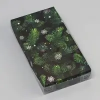 Коробка для печенья, &laquo;Сказочного Нового года!&raquo;, 10.5&times;20&times;3 см, Новый год