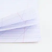 Тетрадь 12 листов в косую линейку, А5, на скрепке, блок №1 &laquo;Учись на 5+&raquo; МИКС