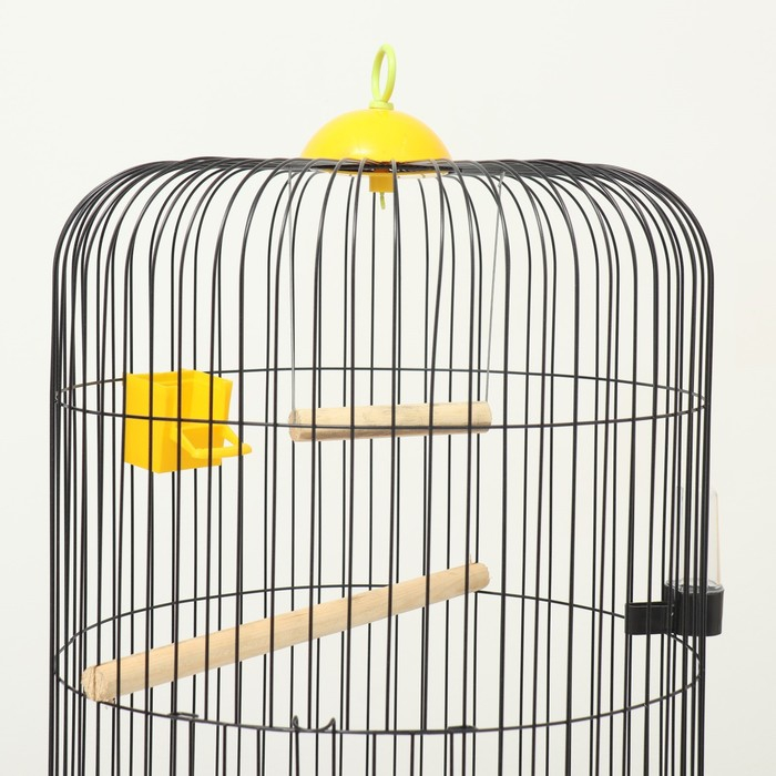 Клетка для корелл круглая «Рио», 40 x 83 см, микс цветов Клетка для корелл круглая «Рио», 40 x 83 см, микс цветов