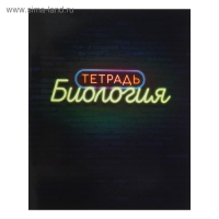 Комплект предметных тетрадей 48 листов &laquo;Неон&raquo;, 10 предметов со справочным материалом, обложка мелованный картон, УФ-лак, блок офсет