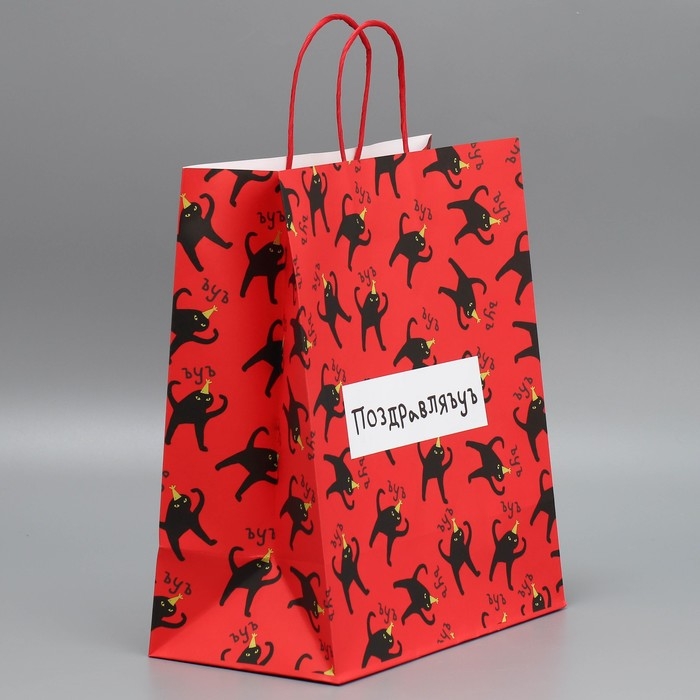 Пакет подарочный крафтовый, упаковка, &laquo;Поздравляю&raquo;, 28 х 32 х 15 см