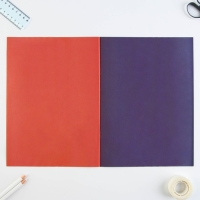 Набор &laquo;1 сентября:Учись на 5+&raquo;, цветной картон 10 листов, 10 цветов, плотность 220 г/м односторонний, цветная бумага 16 листов, 8 цветов, двухсторонний, формат А4