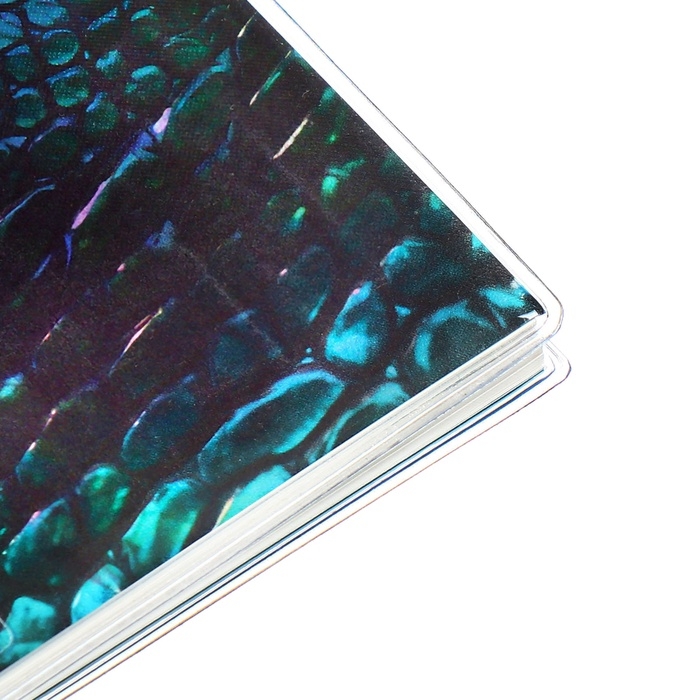 Еженедельник датир 2025г 180х127мм мягк обл ПВХ 64л ESCALADA ЗМЕЯ ЗЕЛЁНАЯ, кр бл 70 г/м&sup2;