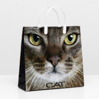 Пакет "Кэт", мягкий пластик, 30 х 30 см, 150 мкм