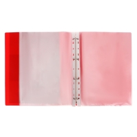 Папка-портфолио А4, Calligrata "Герб", пластиковая, на 4 кольцах, для школьника, 20 файлов Папка-портфолио А4, Calligrata "Герб", пластиковая, на 4 кольцах, для школьника, 20 файлов