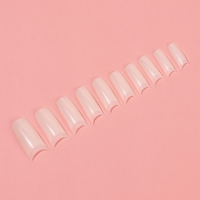 Типсы для наращивания ногтей, 500 шт, форма мягкий квадрат, с короткой контактной зоной, 10 размеров, цвет слоновая кость Типсы для наращивания ногтей, 500 шт, форма мягкий квадрат, с короткой контактной зоной, 10 размеров, цвет слоновая кость