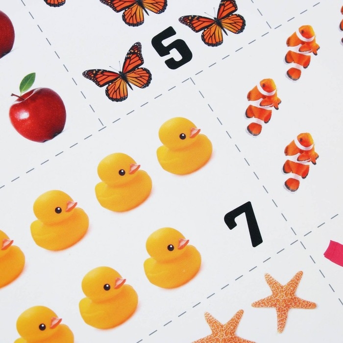 Набор обучающих плакатов &laquo;Изучаем мир&raquo;, 10 в 1, А4