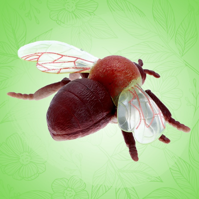 Набор насекомых &laquo;Лесные&raquo;, 5 штук