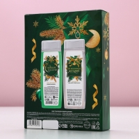 Подарочный набор косметики &laquo;Мечты обязательно сбудутся&raquo;, гель для душа и шампунь для волос, 2 х 250 мл, Новый Год