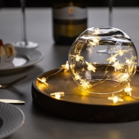 Гирлянда «Нить» 2 м роса с насадками «Звезда», IP20, серебристая нить, 20 LED, свечение тёплое белое, 2 режима, ААх2 Гирлянда «Нить» 2 м роса с насадками «Звезда», IP20, серебристая нить, 20 LED, свечение тёплое белое, 2 режима, ААх2