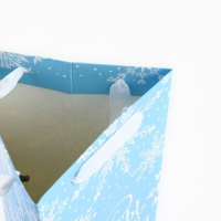 Пакет под бутылку, треугольный &laquo;Мечты&raquo;, 13 х 32 х 11.3 см, Новый год