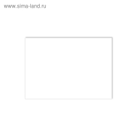 Бумага для черчения А4, 20 листов, блок 200 г/м², ErichKrause, без рамки, в картонной папке Бумага для черчения А4, 20 листов, блок 200 г/м², ErichKrause, без рамки, в картонной папке