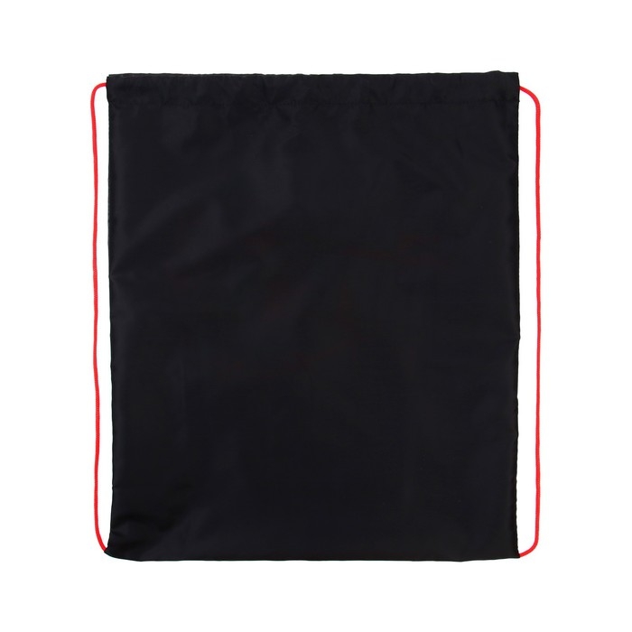 Мешок для обуви 490 х 410 мм, СДС-53, T-REX 2023