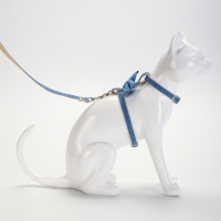 Комплект амуниции "Леди и Джентельмен", поводок 120 х 1 см, синий