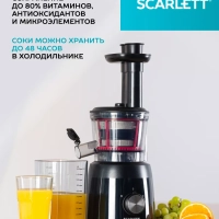 Соковыжималка электрическая шнековая