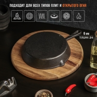 Сковорода чугунная Magma &laquo;Вилфред&raquo;, 19,5&times;4 см, с 2 сливами и чугунной ручкой