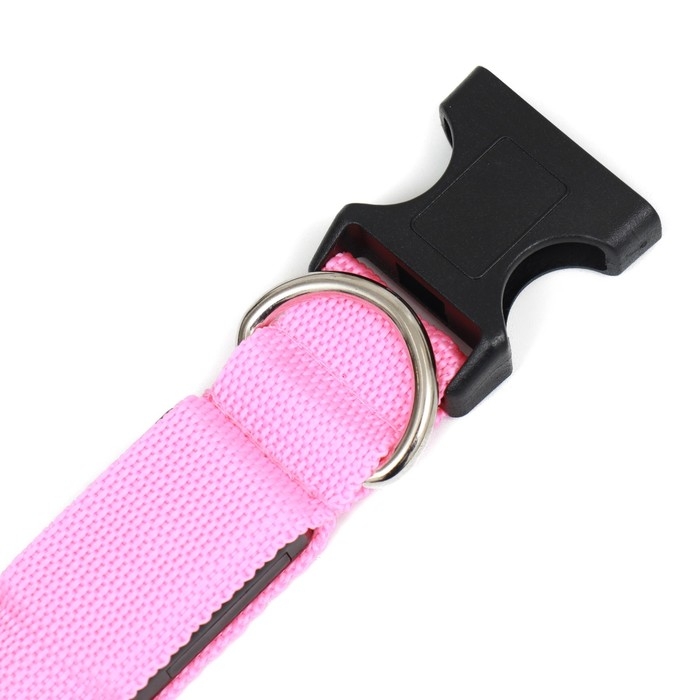 Ошейник с подсветкой Двойная полоса размер М, ОШ 40-48 х 2,5 см 3 режима свечения розовый Ошейник с подсветкой Двойная полоса размер М, ОШ 40-48 х 2,5 см 3 режима свечения розовый