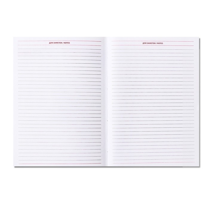 Ежедневник недатированный А5, 160 листов "Небраска", обложка искусственная кожа, перфорация углов, синий