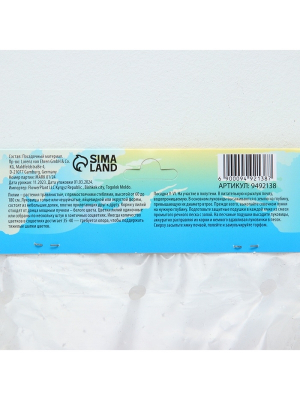 Лилия Азиатская Кашпо Trendy Havanna, луковица в пакете с перфорацией, р-р 12/14, 2 шт.