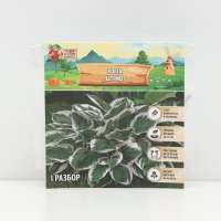 Хоста &laquo;Патриот&raquo;, корневище в пакете с торфогрунтом, р-р I, 1 шт.