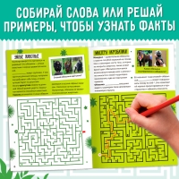 Набор обучающих книг &laquo;Лабиринты и факты&raquo;, 6 шт.
