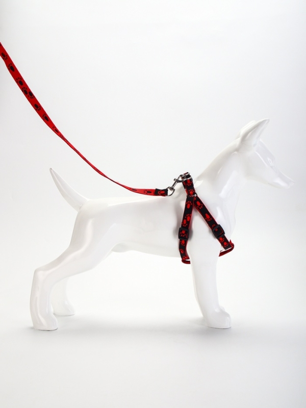 Комплект "Большая лапа", ширина 1,5 см, поводок 120 см, шлейка 28-42 см, красно-чёрный