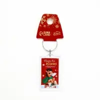 Брелок из пластика &laquo;Новогодний&raquo;, 6 шт., 5&times;4 см, МИКС