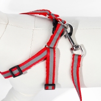 Комплект со светоотражающей лентой, ошейник 120 х 1 см, ОГ 26-40 см, красный