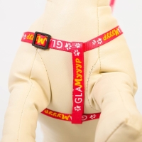 Комплект &laquo;Ты и я&raquo;, шлейка 26-39 см, поводок 120х1 см, медальон