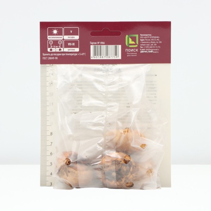 Гладиолус гофрированный &laquo;Лемон Три&raquo;, луковица цветов в пакете с перфорацией, р-р 12/14, 5 шт.