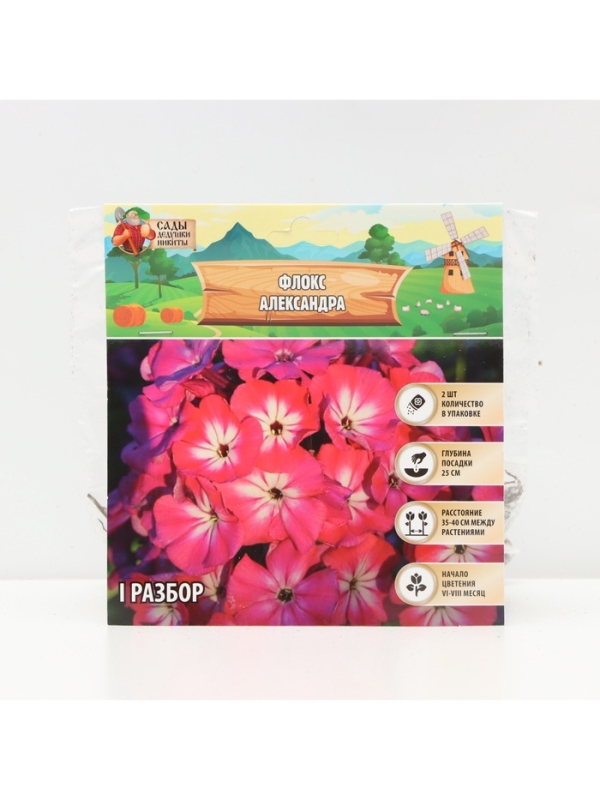 Флокс &laquo;Александра&raquo; корневище в пакете с торфогрунтом, р-р I, 2 шт.
