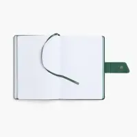 Ежедневник Boom, недатированный, черный с зеленым