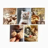 Набор мини-открыток в коробке со скрепками &laquo;Котики&raquo;, 35 штук, 8 x 10 см
