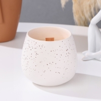 Свеча из соевого воска в кашпо &laquo;Нежность&raquo;, 8&times;8 см, МИКС