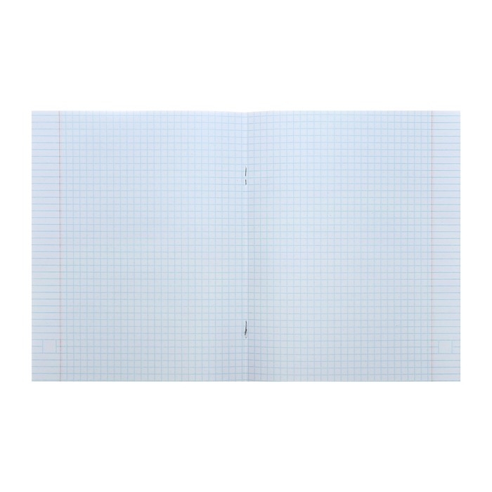 Тетрадь 48 листов в клетку Calligrata "Коты", обложка мелованный картон, блок офсет, МИКС