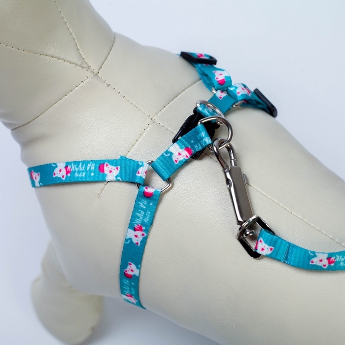 Комплект &laquo;Хочу на ручки&raquo;, шлейка 24-34х1 см, поводок 120 см