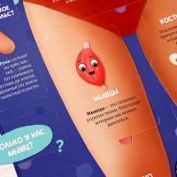 Книга - раскладушка детская &laquo;Как устроено моё тело&raquo;, 40 окошек