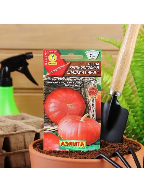 Набор семян Тыква крупноплодная "Сладкий пирог", 5 шт.
