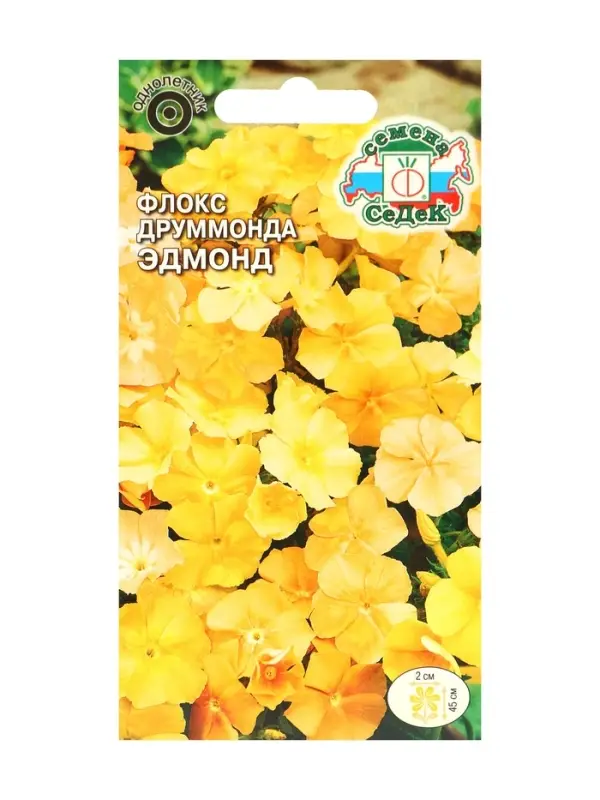 Семена цветов Флокс "Эдмонд", Евро, 0,2 г
