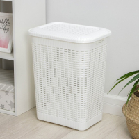 Корзина бельевая с крышкой, 50 л, 42&times;31&times;56 см, цвет МИКС