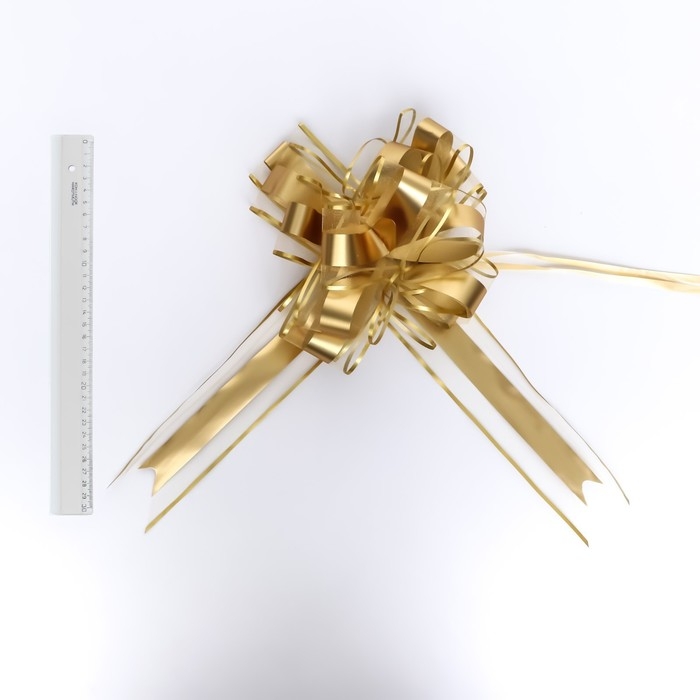 Бант-шар №6.5