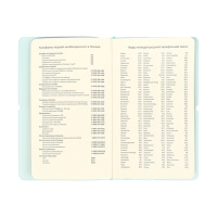 Планинг карманный недатированный, 80 листов, 100х170 мм, deVENTE.Jane, мягкая обложка ПВХ, на резинке, перфорация, ляссе, блок 70%, бирюзовый