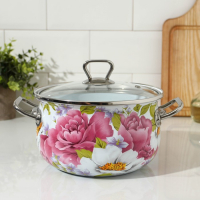 Кастрюля эмалированная &laquo;Пион&raquo;, 3.1 л, индукция