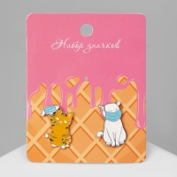 Набор значков (2 шт.) &laquo;Коты&raquo; в масках, цветной в серебре