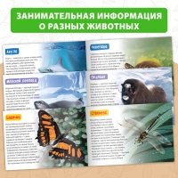 Обучающие книги набор &laquo;Удивительный мир&raquo; 6 шт. по 20 стр.