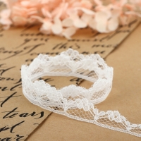 Кружево капроновое, 15 мм &times; 10 &plusmn; 1 м, цвет белый