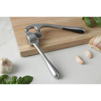 Пресс для чеснока Доляна &laquo;Идея&raquo;, 16,5 см