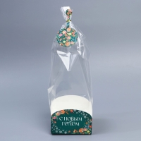 Пакет с коробкой &laquo;Новогодняя ботаника&raquo;, 12 х 12 х 40 см, Новый год